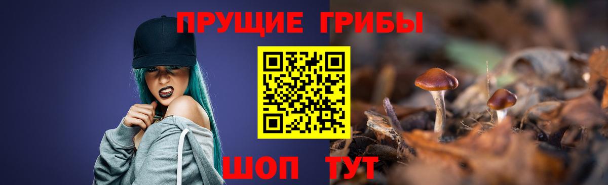 Псилоцибиновые грибы мицелий  Псилоцибиновые грибы ЛСД  Вход с VPN  Мурино 